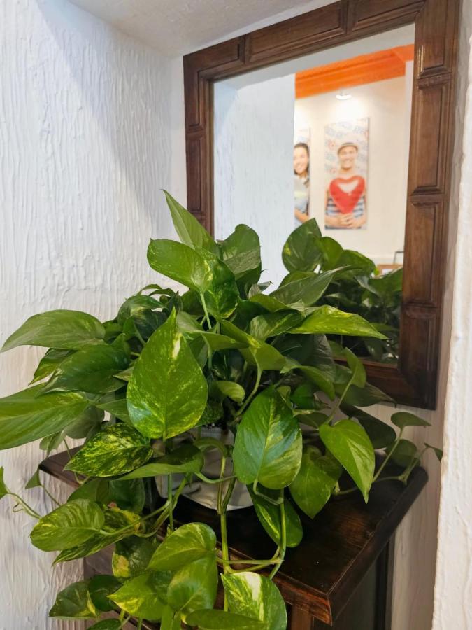 Arc House Granada Otel Dış mekan fotoğraf